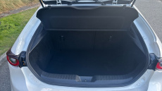 Mazda 3 2.0 e-Skyactiv G MHEV Sport Lux 5dr Petrol Hatchback